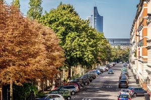 Street Trees